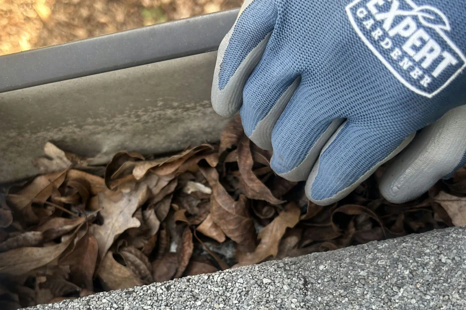 Gutter Cleaning Raleigh