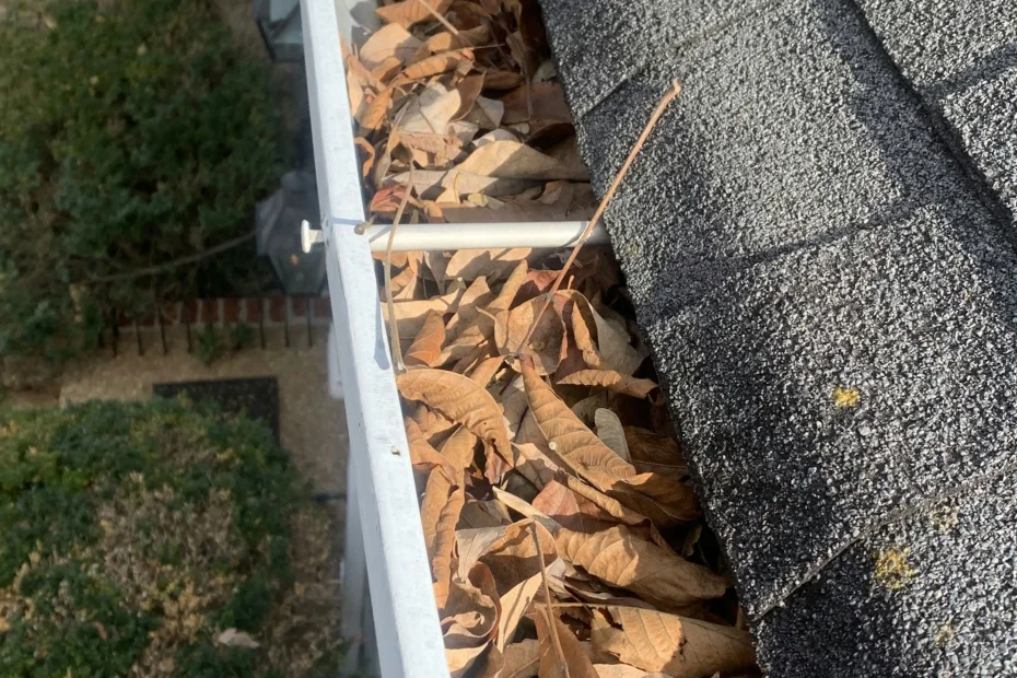 Gutter Cleaning Raleigh