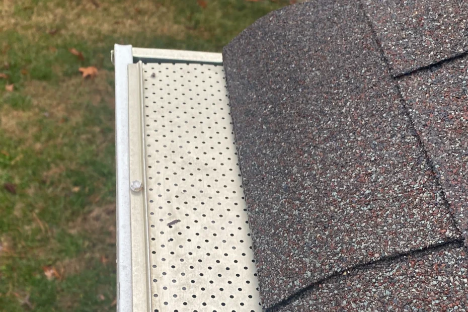 Gutter Cleaning Raleigh